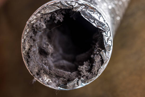 Best Dryer Vent Cleaning Services  in Mills, WY