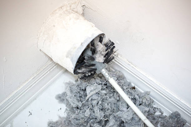 Best Professional Duct Cleaning Services  in Mills, WY